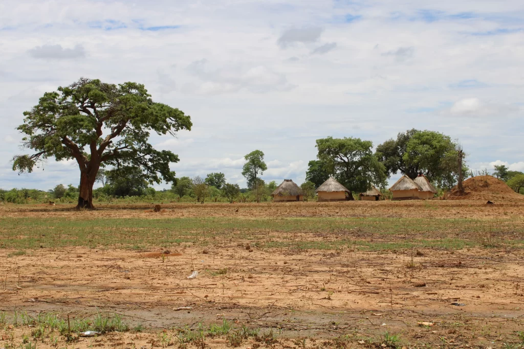 Rustic huts and tree in a rural Zambian landscape with earthy tones and a serene sky.