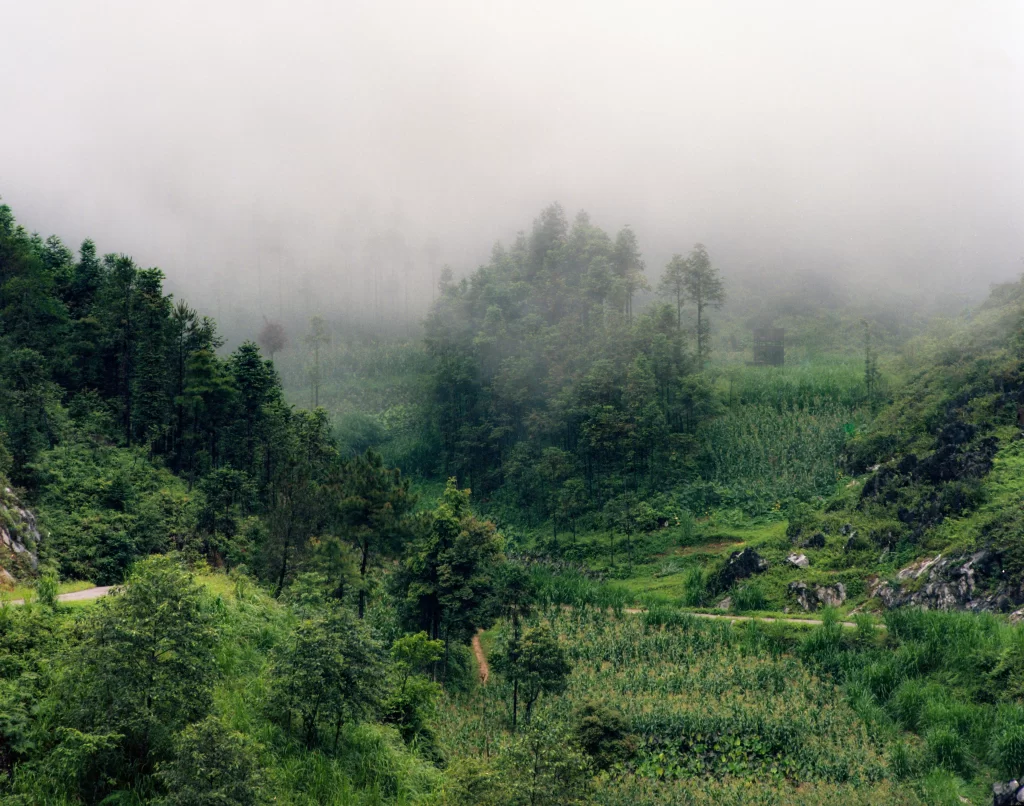 lush and misty hills of Hà Giang, Vietnam, showcasing dense greenery and serene beaut
